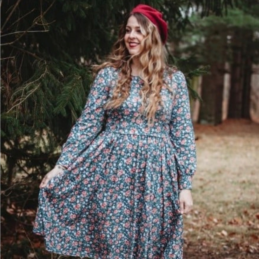 Super Cute Dresses Hearth and Holy Windermere Dress size 2XL Nursing Dress